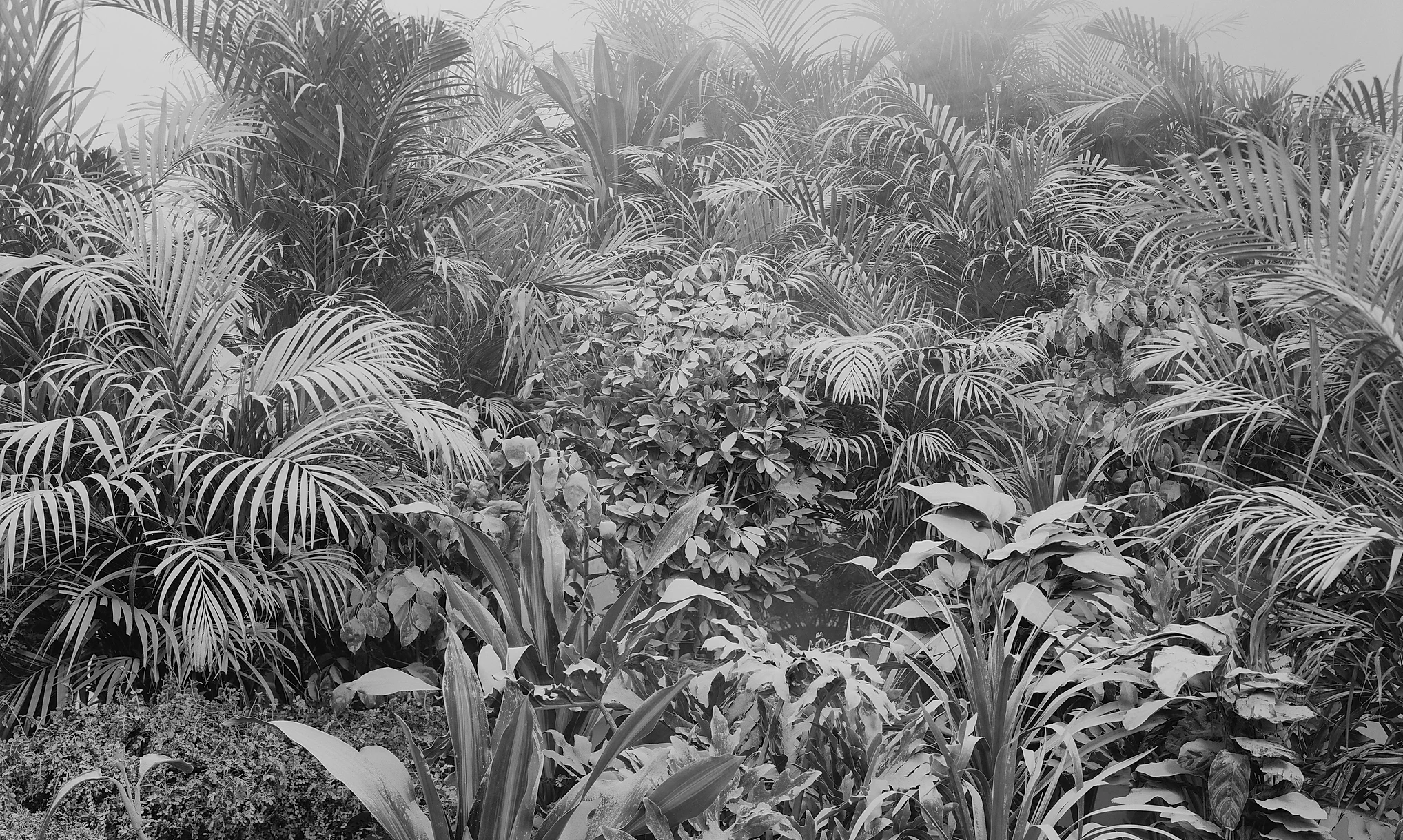 Cultural Intelligence